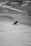 Waves