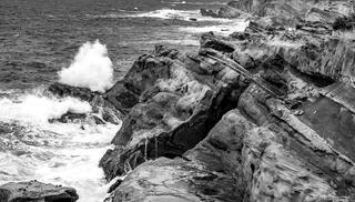 Cape Arago