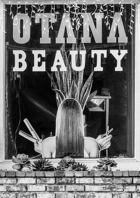  Salon  print