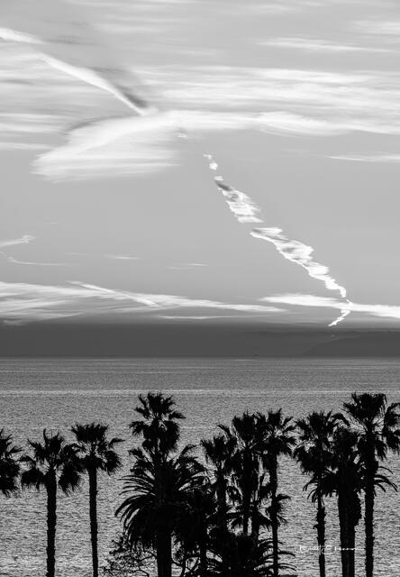 Catalina Dreamin print