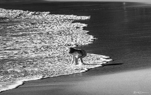 Coppertone Girl 2 print