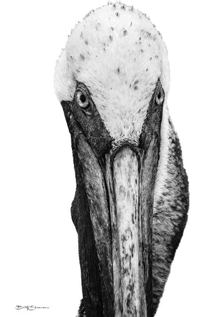 Daggers print