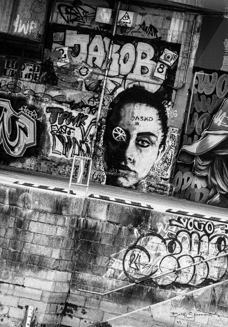 Danube Corridor print