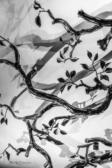 Espalier print