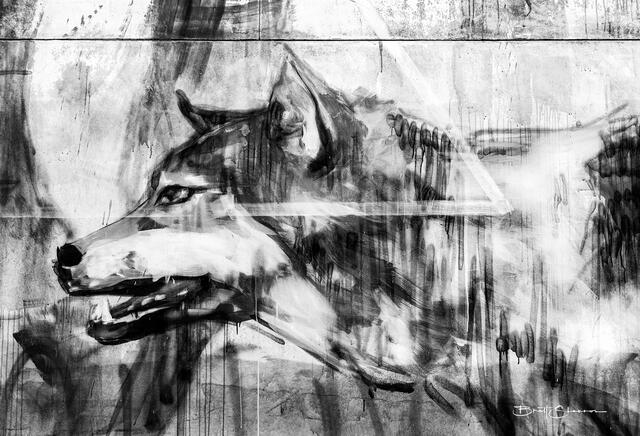 Fang print