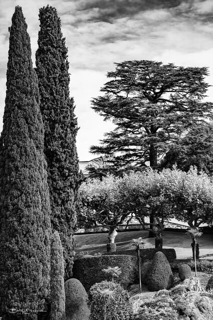 Giardino print