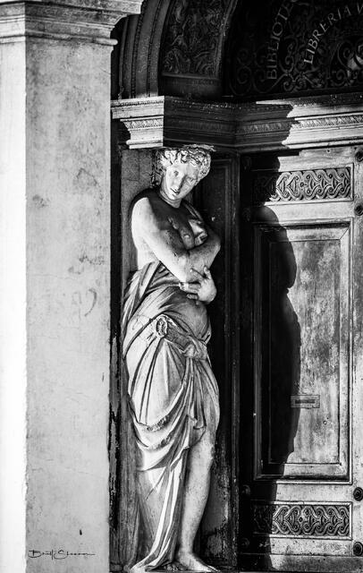 Library in Venice print