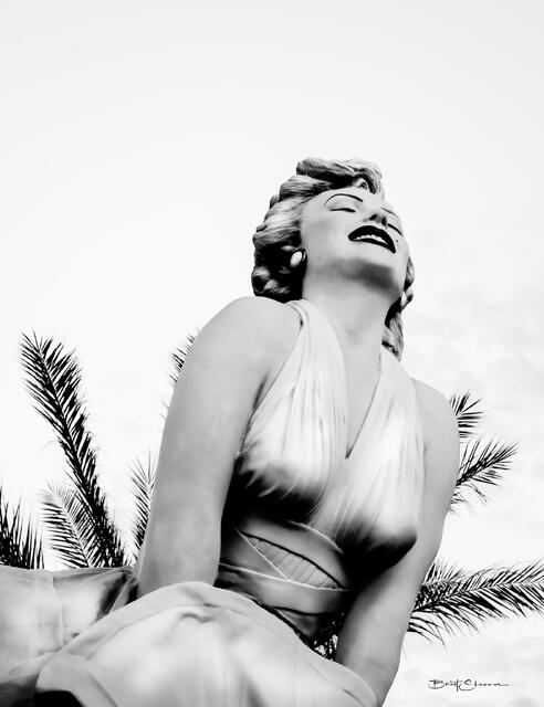 Marilyn print