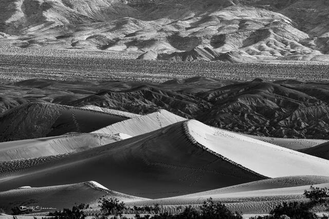 Mesquite Dunes print