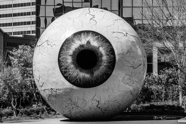 Pupil print