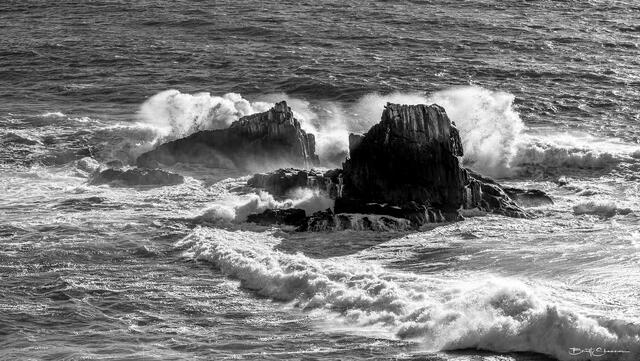 Pelican Rock print