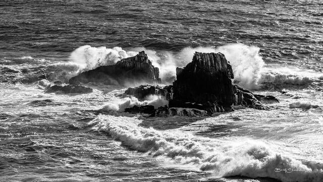Pelican Rock print