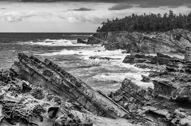 Shore Acres print
