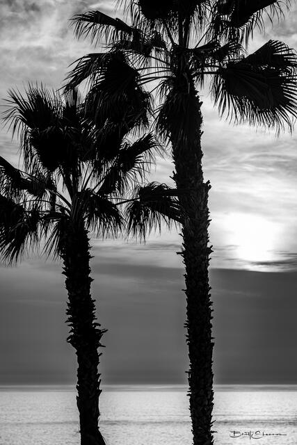 Sunset Dreamin print