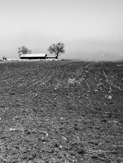 Panhandle print