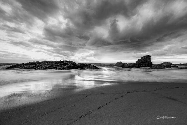 Woods Cove print