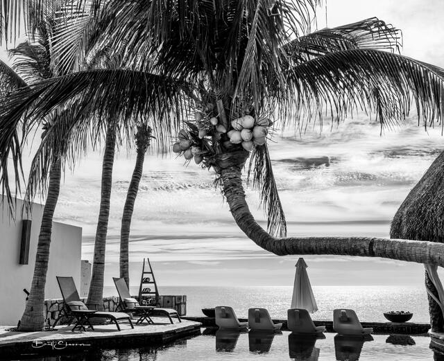 Cabo Revisited print