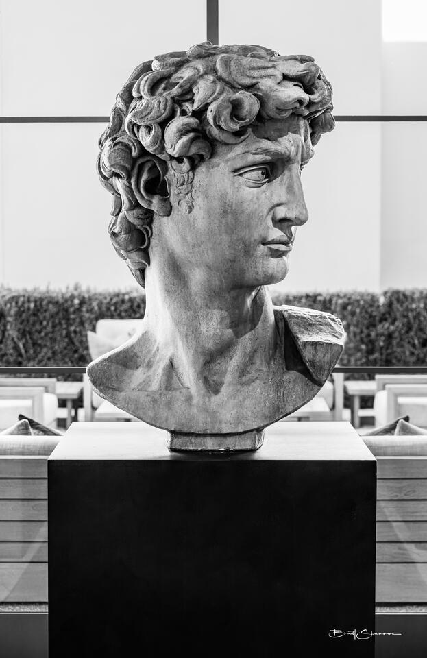 Adonis