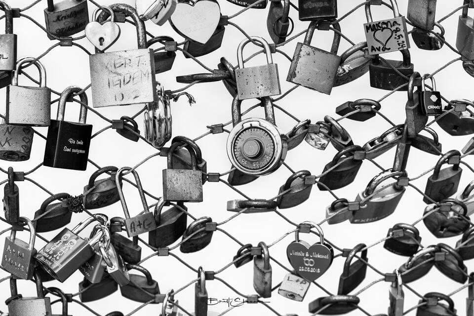Life Locks