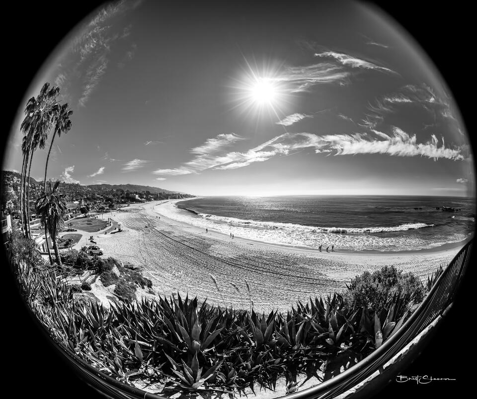 No Snow Globe