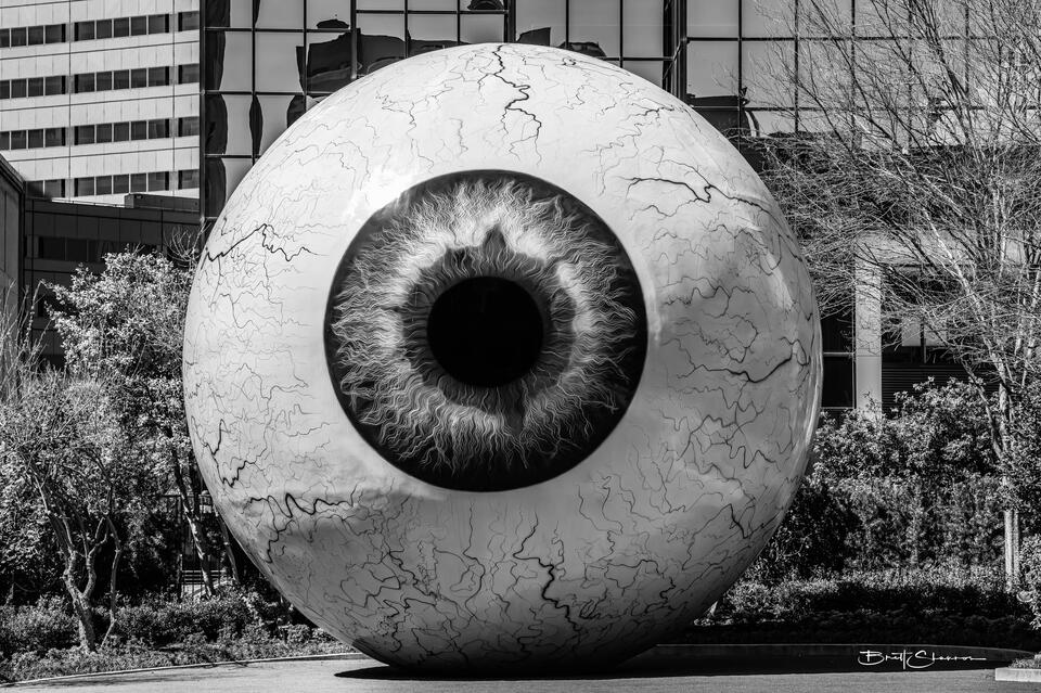 Pupil