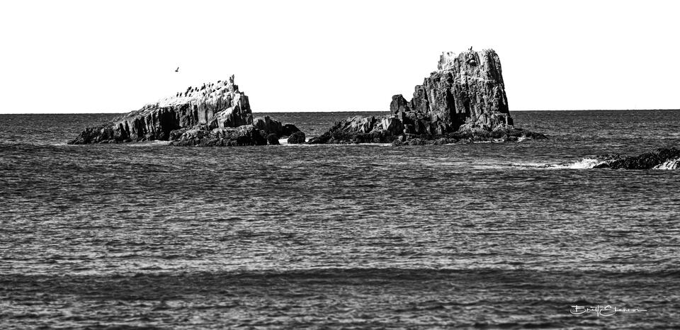 Pelican Point