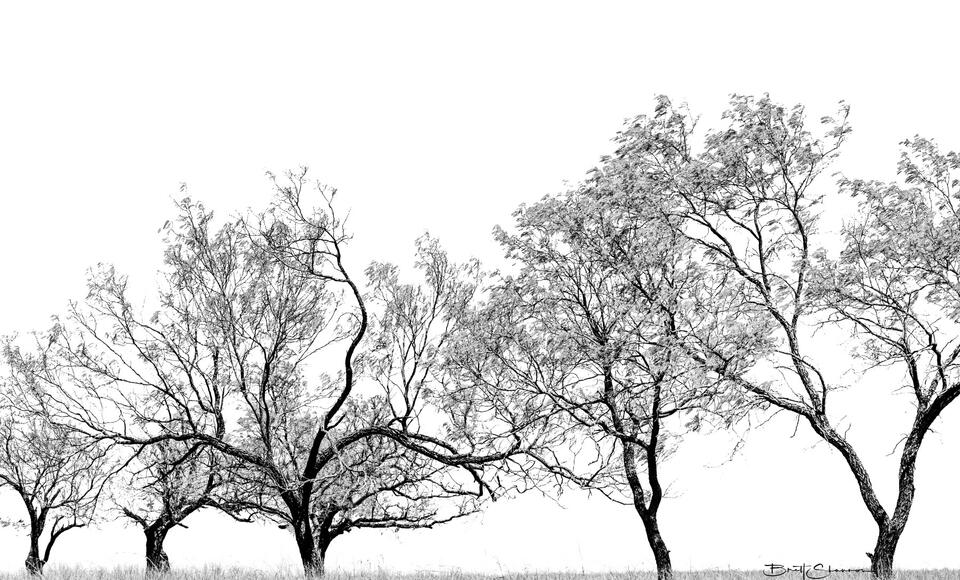 Breeze