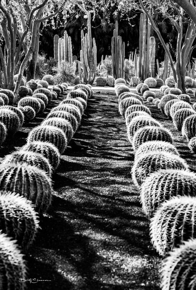 Sunnylands