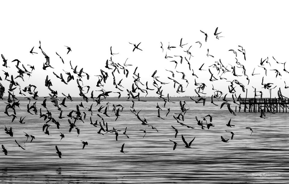 Lift Off