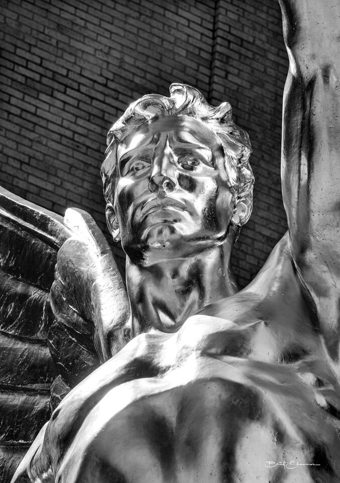 Zeus Up Close