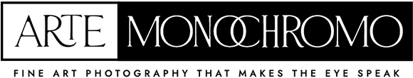 Arte Monochromo